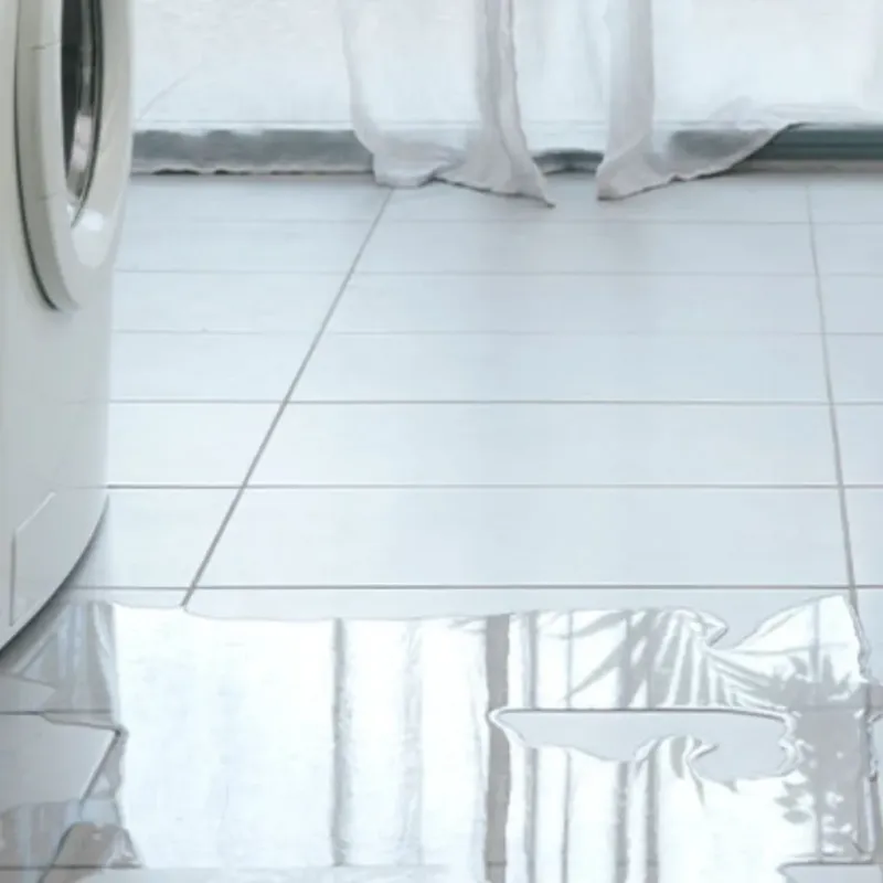 Appliance Leak Cleanup in Orleans, MA